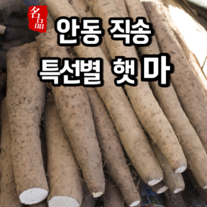 [특선별] 햇마 국산 안동 장마 생 마, 1개, 장마 [특품] 5kg