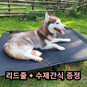 그램도그 강아지 해먹 애견 침대 대형견 이동식 캠핑 의자, 1개