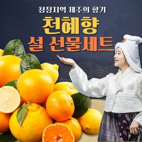 [달하나농수산] 제주 천혜향 백화점 납품용 명절 초특가 16bix 고당도 산지 직송, 1세트, 5kg 특대과 (9~18과 / 실중량 4.5kg)