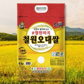 [철원미곡] 24년 철원평야 철원 오대쌀 4kg, 상세 설명 참조, 1개, 상등급