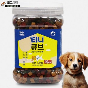 펫러닝 강아지 티니큐브 간식, 혼합맛(닭고기/오리/연어), 1.1kg, 1개