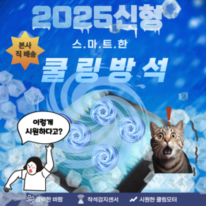 보스픽 2024년형 4팬 여름 방석 통풍 컴퓨터 의자 쿨방석 사무실 차량용 바람방석