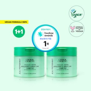 [1+1]초록초롱 비건 허브 각질 피지케어 제주 페퍼민트 토너패드(280mL+70pads), 2개, 70개입