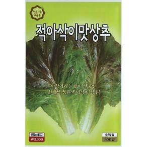 씨앗 적아삭이맛상추 300립, 1개