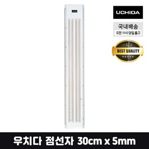 우치다 점선자 스케일 자 30cm x 5mm 건축 조경 시험용 눈금자