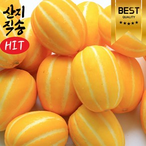 성주산지직송 당일수확선별 A급 가정용 성주참외, 1박스, 혼합과 5kg