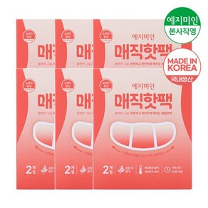 예지미인 몰랑이 매직 생리 핫팩/찜질팩 2Px6팩, 6개