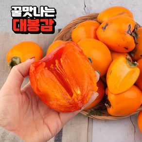 (제철산지직송)고품질 고당도 햇대봉감 홍시 대봉시, 특대과 5kg, 1개