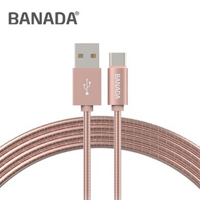 바나다 C타입 메탈 스프링 고속 충전케이블 1m / 단선에 강한 삼성 C타입 고속 케이블 / 갤럭시 S20 S21 노트10 노트20 제트플립3 제트폴드3 핸드폰 충전기 케이블