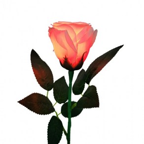 [1+1] 마술 JL수업용불빛장미 JL LIGHT ROSE 핑크 딜라이트미포함 OEM직제조케이스포장, 2개