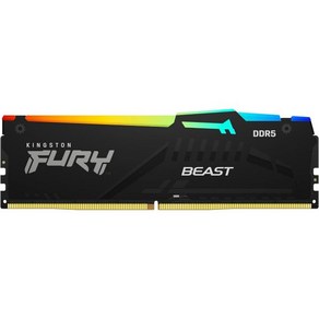 킹스턴 테크놀로지 퓨리 비스트 RGB 32GB 2x16GB 5200MTs DDR5 CL36 데스크탑 메모리 키트 2개 적외선 싱크 기술 AMD 엑스포 플러그 앤 플레이 KF55, 6000MT/s_16GB (2x8GB)