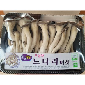 야채왕 무농약 느타리 참타리 버섯 200g 1팩 /3팩/ 5팩 /10팩 - 수도권 충청지역 팀프레시 새벽배송, 10개