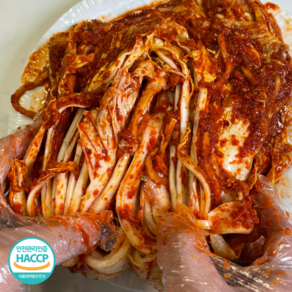 [신선온] 당일생산 매콤하고 아삭한 맵싹 맛있는 매운 김치, 1개, 2kg