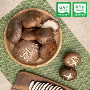 신선집중 표고버섯 국내산 파지 무농약 GAP인증, 1개, 파지 2kg
