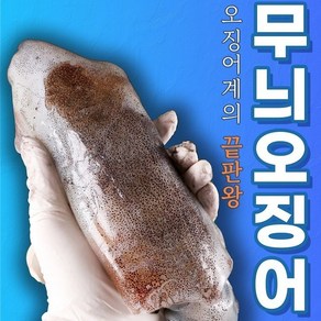 동해안 무늬오징어 1kg 생물오징어 통찜 숙회, 1박스, 1kg(4~9미)