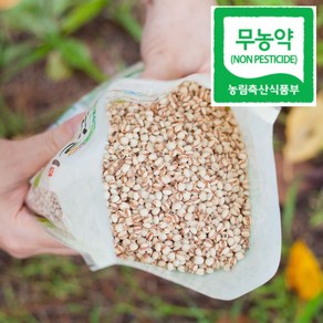 무농약 율무 국산 율무쌀 친환경 잡곡 500g, 1개