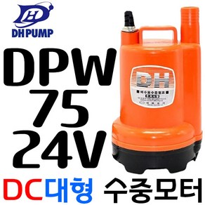 DPW75-24볼트 대화전기 비자동 DC배터리 배수용 수중펌프