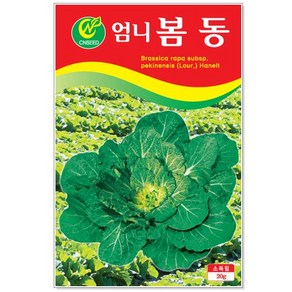 엄니봄동 20g, 1개