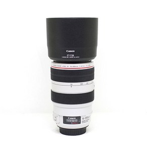 캐논 EF 70-300mm F4-5.6L IS USM 할매 백통 A급 중고