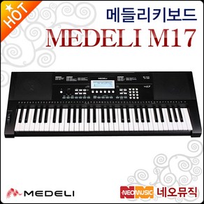 메들리 M17