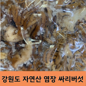 [국내산] 강원도 일대 산에서 직접 채취한 100% 자연산 참싸리버섯(염장), 1개, 1kg