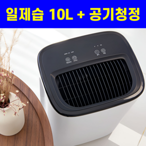 10L 대용량 미니 제습기 가정용 원룸 저소음 화장실 옷방, 10L ZNA-1102