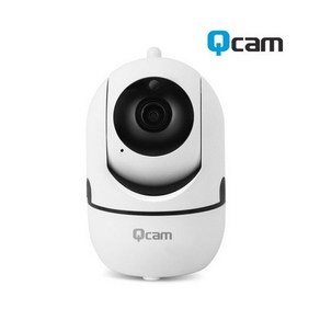 서진네트웍스 QCAM-S10 CCTV IP 카메라, 선택하세요, 1개