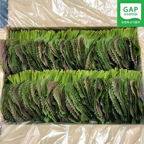 (GAP인증)500G 1KG 직접재배 당일수확 밀양깻잎, 500g, 1박스