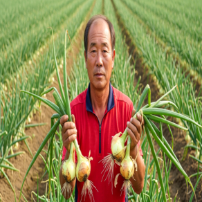 [품질보장제 특품] 국내산 무안 단단한 햇양파 3kg 5kg 10kg, 1개, 실속 5kg