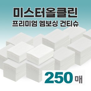 미스터올클린 프리미엄 접어진 엠보싱 청소포 28X20cm 정전기 청소포 리필 패드 밀대 걸레 바닥청소 방역 소독, 250개