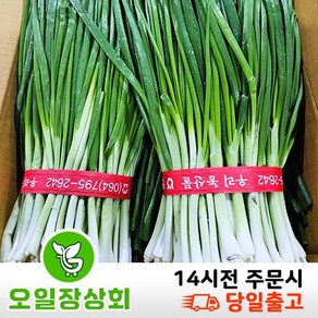 약수농장 국내산 깐쪽파 1단 (약1kg내외), 1개