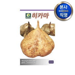 히카마 (얌빈) 씨앗 10g . 원예 야채 채소 텃밭 멕시코 맥시코 감자 씨 종자