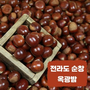 24년 햇밤 전라도 순창 옥광밤, 1박스, 1kg(대)