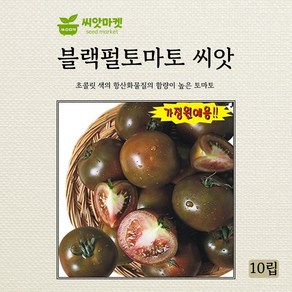 아람종묘 블랙펄 토마토 씨앗 10립, 1개