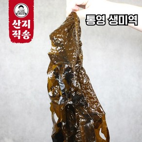 [산지직송] 통영 생미역 물미역 1kg 2kg 3kg 5kg, 1개