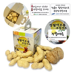 정월대보름 부럼 케이스 피땅콩50g + 호두2알 견과류, 1세트, 땅콩50g+호두2알, 50g