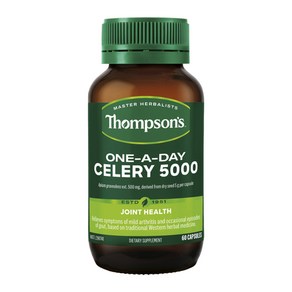 톰슨 Thompson 셀러리 5000mg 60캡슐, 1개, 60정