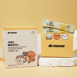 [NEW 파우더] 닥터뮨 브레스 강아지 고양이 기관지 영양제 켁켁 기침 호흡기 40p, 1개, 호흡기/기관지, 40회분