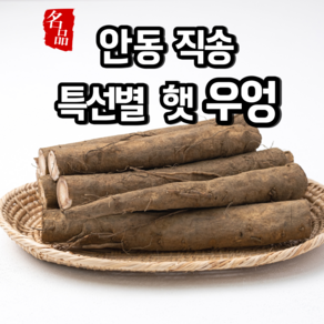 [특선별] 햇우엉 우엉 안동 직송 생우엉, 1개, 우엉 [대상] 2kg 차용