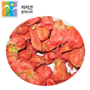 국내산 야생 꽈리열매 건조상품 / 열매만 떼어서 발송/ 상세설명 보관 주의사항 필수