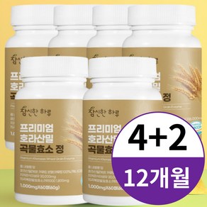 캐나다산 호라산밀 곡물 발효 효소 정 6통 12개월분