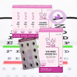 안국 건강 루테인 지아잔틴 90.91mg 240+60캡슐 눈 건강 영양제, 1개, 60정