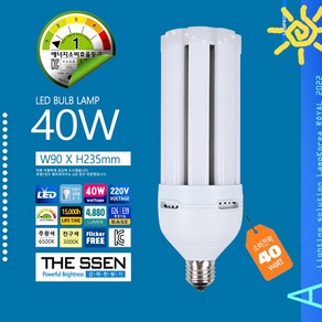 LED 대형 보안램프 에코 반트 40W 1등급 공장등 가로등 스틱 콘램프, 6500K-주광색-환하게 밝은 흰 빛, 1개, 주광색