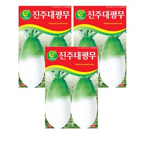 모두다 채소씨앗 진주대평무(15g), 3개