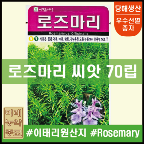 아람종묘 로즈마리 씨앗 70립- 이태리산 osemay seeds 다년생허브, 1개