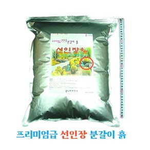 꽃누리가드너 분갈이 흙 선인장용토 10리터 프리미엄급 용토 모래 자갈 배양토, 1개, 10L