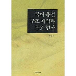 국어 음절 구조 제약과 음운 현상, 한국문화사, 김영선 저