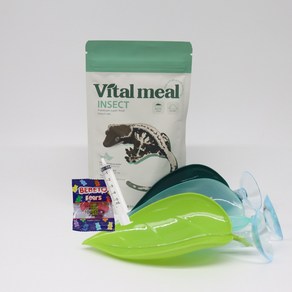 [바이탈밀 인섹트] 슈퍼푸드 80g 크레스티드게코 슈퍼푸드 사료 먹이 VITAL MEAL INSECT, 1개