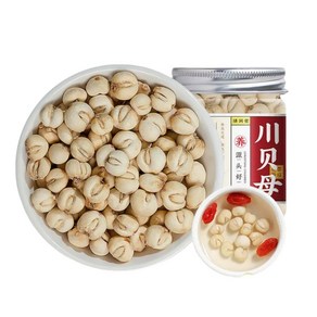 사천성 야생 패모 천패모, 1개, 50g