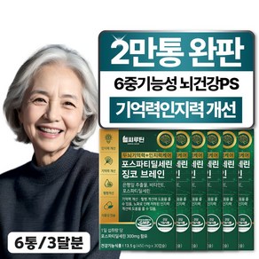 헬씨루틴 두뇌 기억력 인지력 케어 포스파티딜세린 징코 브레인, 6개, 30정